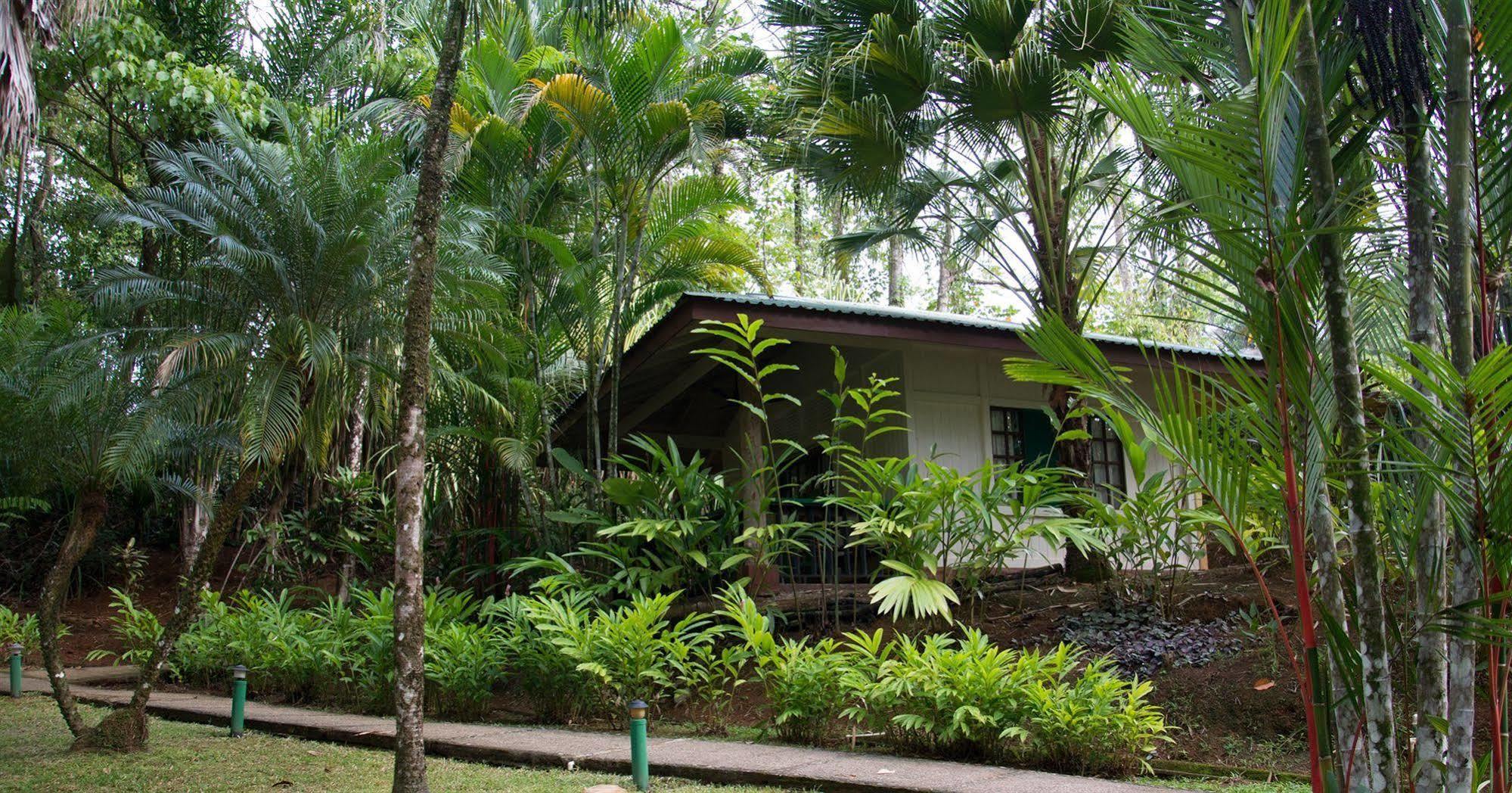 Hotel Villas Gaia Uvita Esterno foto